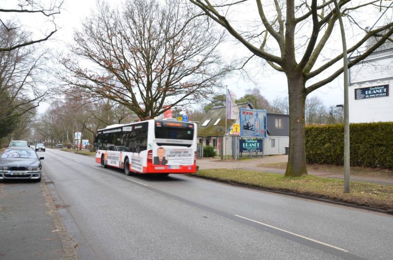 Pinneberger Chaussee 118/Zufahrt Aldi (quer)