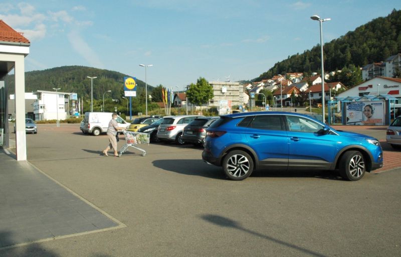 Am Freizeitzentrum 1 /Lidl/geg. Eingang