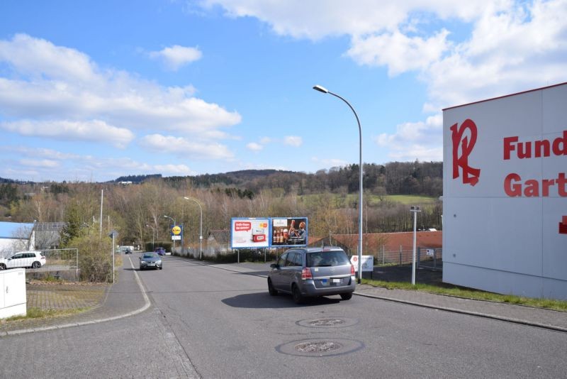 Rudolf-Diesel-Str. 10/Zufahrt DGS (quer)