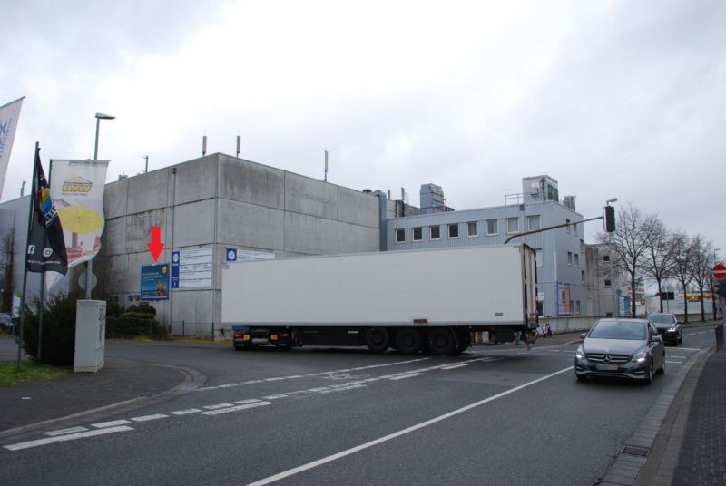 Rheinhessenstr/Dekan-Laist-Str/lks (Wand)