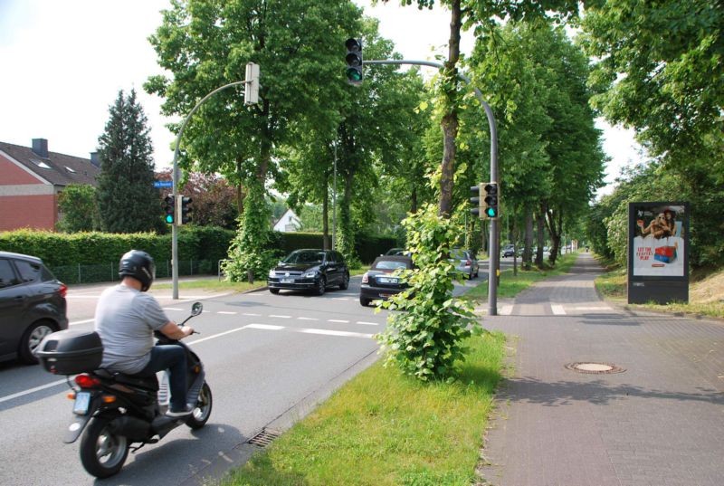 Neuenkirchener Str/Alte Buschstr (WE rts)