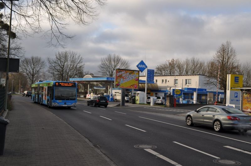 Königsallee 245/Edeka + Tkst/WE rts (City-Star)