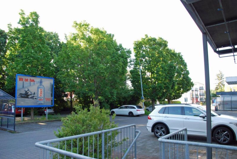Alzeyer Str. 242 /Edeka/geg. Eingang (rts)