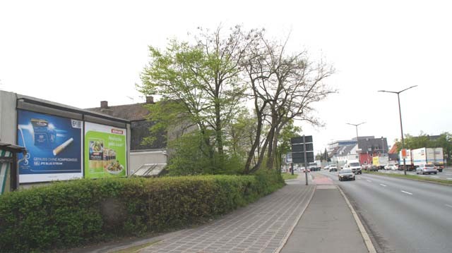 Jansenbrücke/Südauffahrt