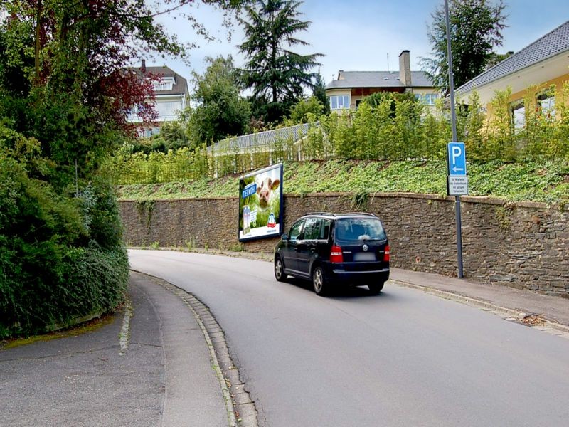Karl-Binz-Weg   1 gg/Bergweg