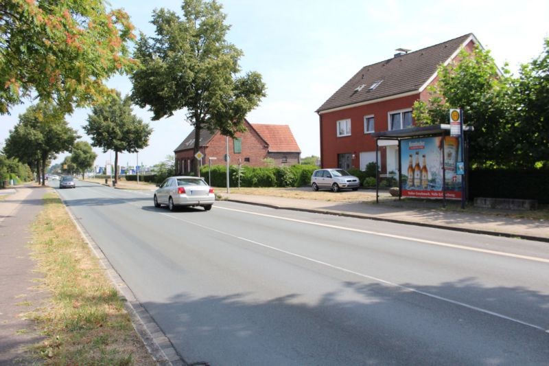 Halterner Str/Hst Kleine Brückstr ew