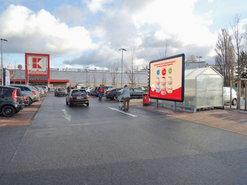 Alzeyer Str. 11 Kaufland Einf.