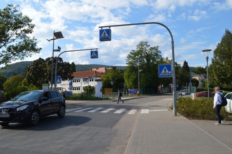 Wiesenstr/Festplatzstr