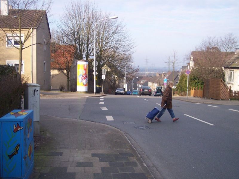 Zehntweg / Springweg