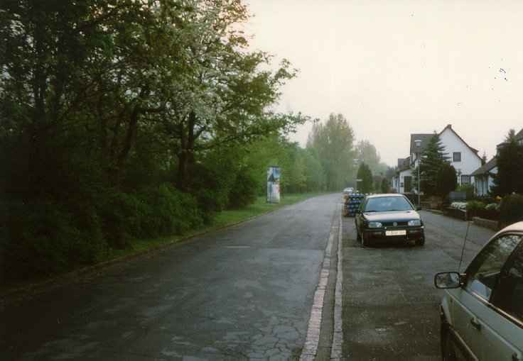 Ginsterbusch/Holunderweg