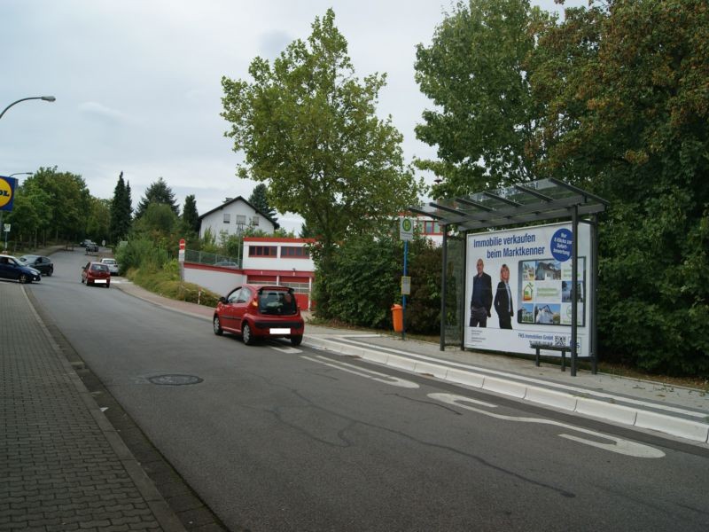 Alleestr vor Feuerwehr Ausf Lidl Wasgau Rossmann