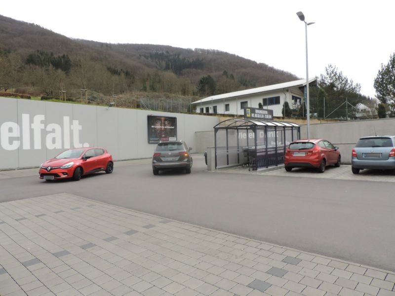 Quidembaum 3 Edeka Schütz Einf.