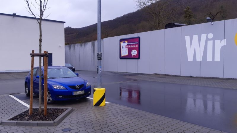 Quidembaum 3 Edeka Schütz