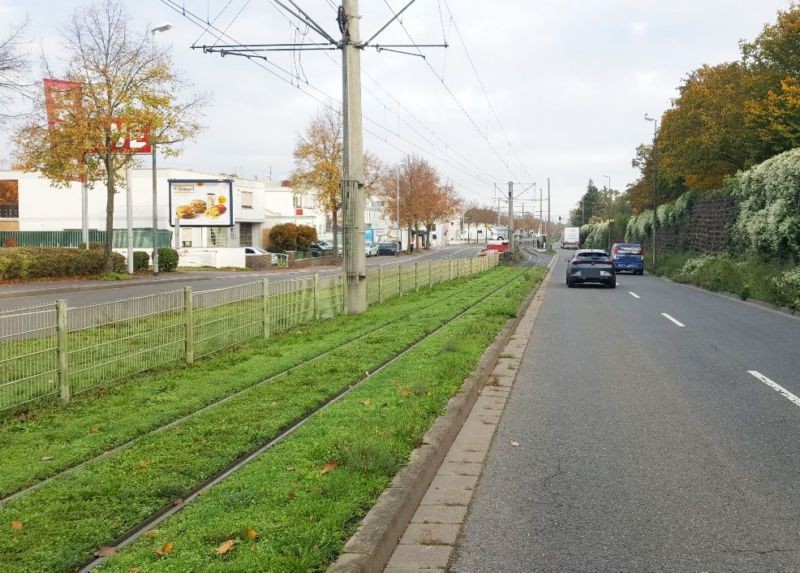 Rheinhessenstr  19 a ew