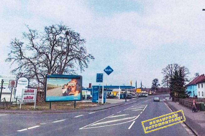 Veckerhagener Str. 19 Sto 1