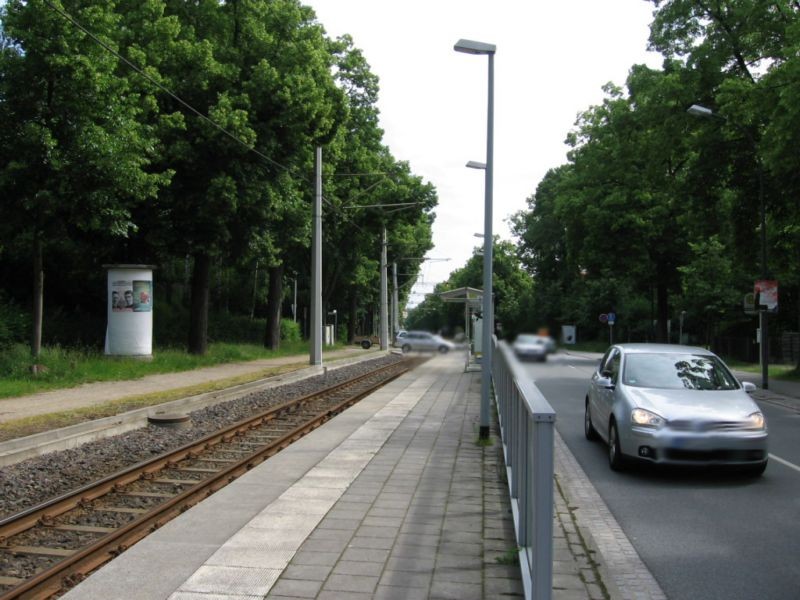 Promenadenstr/Geschwister-Scholl-Str