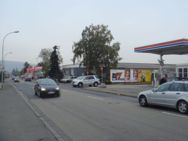 Schwabenheimer Weg 3  quer