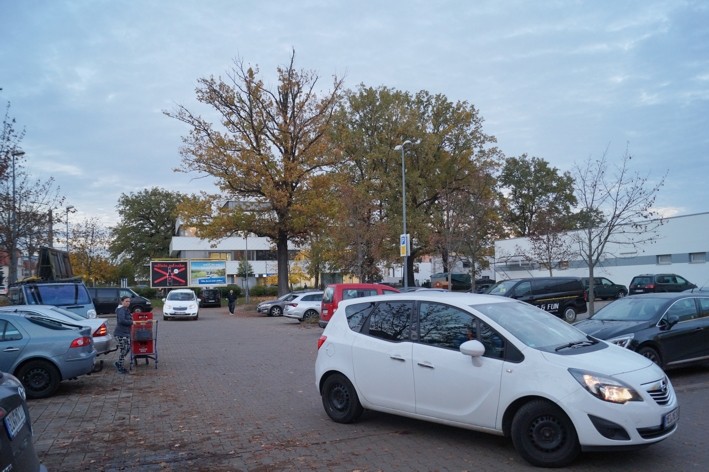 Königsbrücker Landstr.  / Arkonastr. VS Netto quer