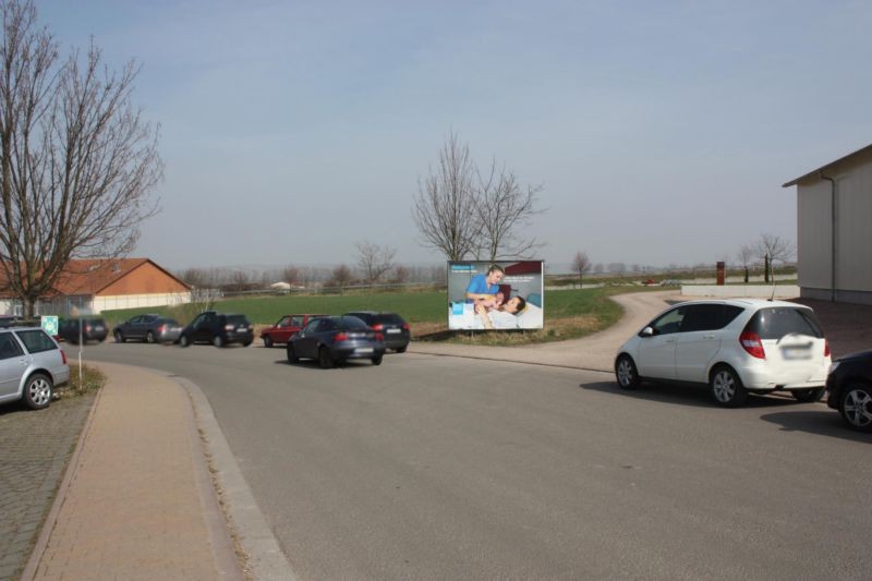 Im Baumfeld  / Si. Edeka Wollny quer