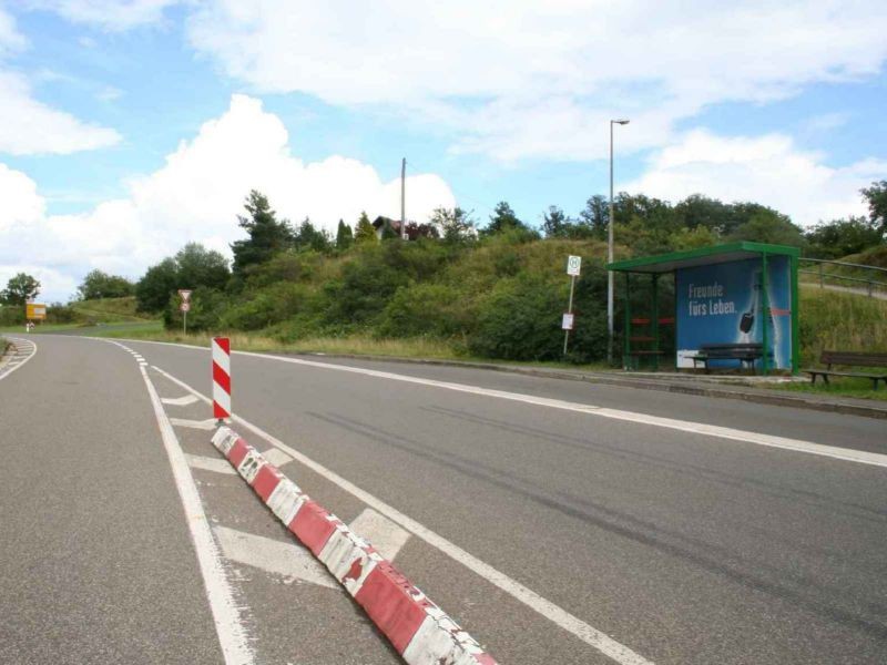 Ortseinf. Enzweiler  / Rg. Idar-Oberstein (B 41)