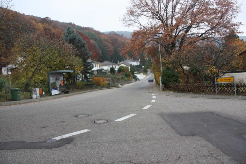 Freiheitstr.  / Triftbrunnenweg Haltest.