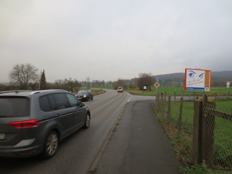 Alsfelder Str. (B 264)  / Burgweg quer VS