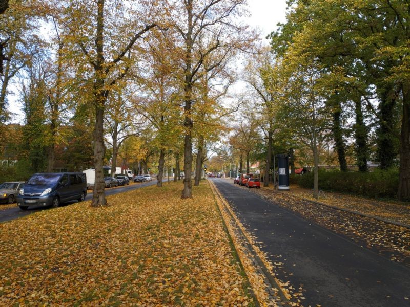 Podbielskiallee 50 vor Schorlemerallee