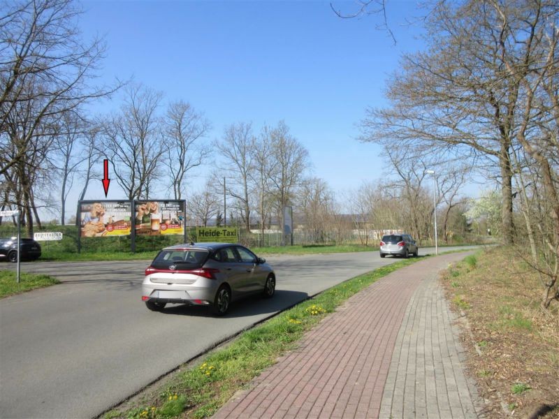 Buschhorstweg/Reitplatz quer