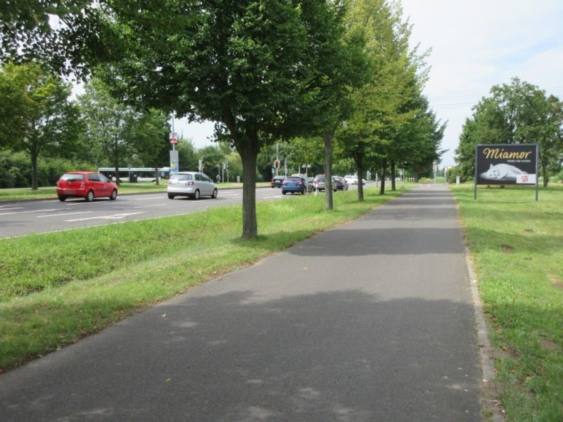 Olvenstedter Graseweg  37/Holzweg OS