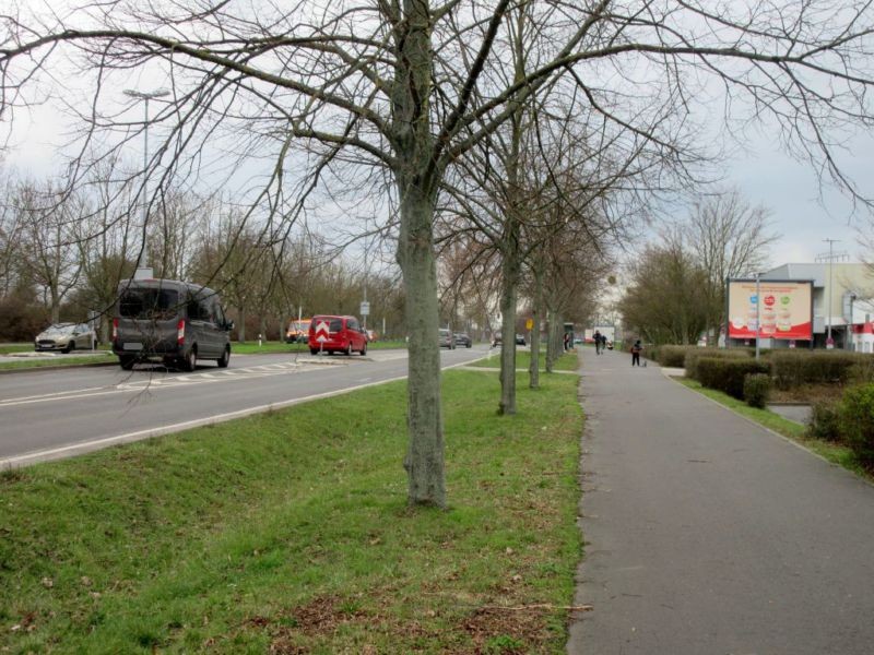 Olvenstedter Graseweg  37/Eingangsbereich OS