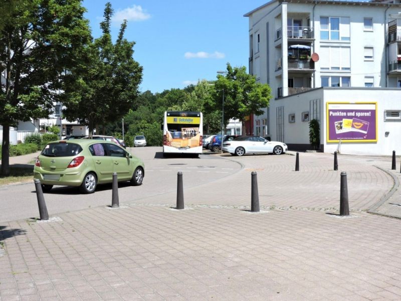 Palisadenring   5 Netto Si. Str. quer