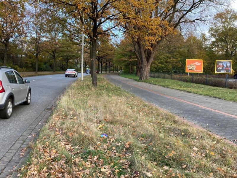 Baumschulenallee  26/Netto