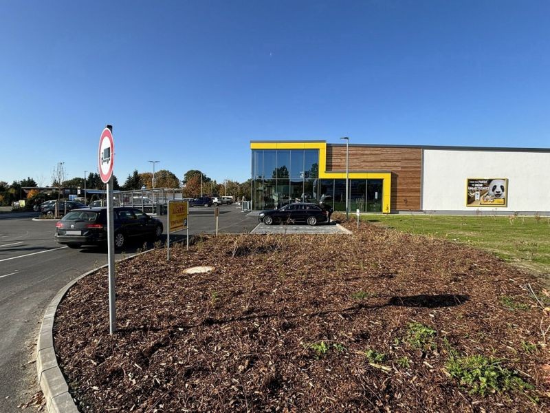 Buchenring   1/Netto