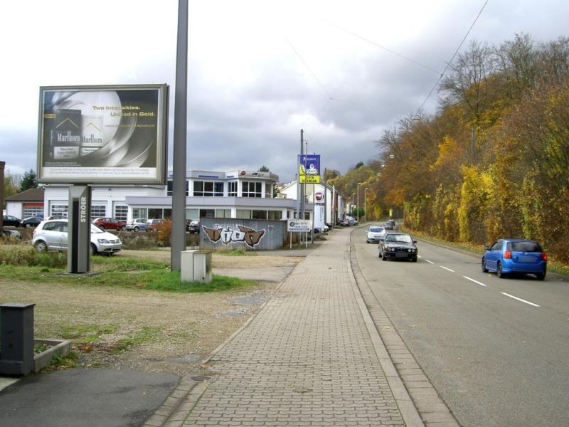 Straße des 13. Januar vor 138/We.li.