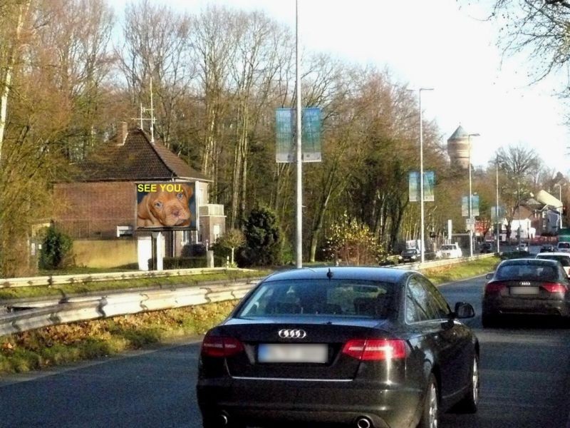 Reststrauch 125/We.li.