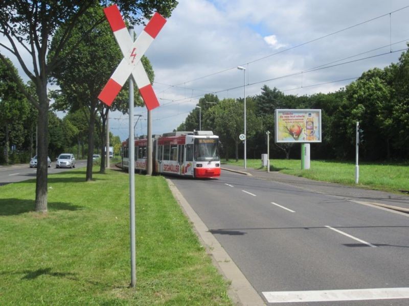 Rheinhessen-/Nh. Bgm.-Heinrich-Dreibus-/We.re.