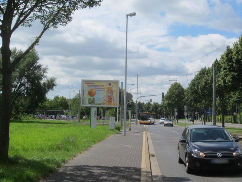 Rheinhessen-/Nh. Bgm.-Heinrich-Dreibus-/We.li.