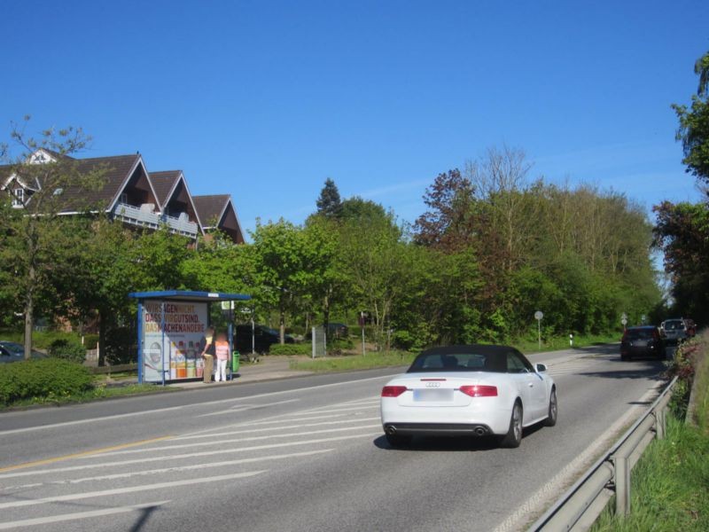 Hamburger Ring/Lindenallee