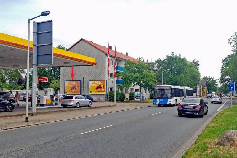 Vor dem Dorfe  29/Shell