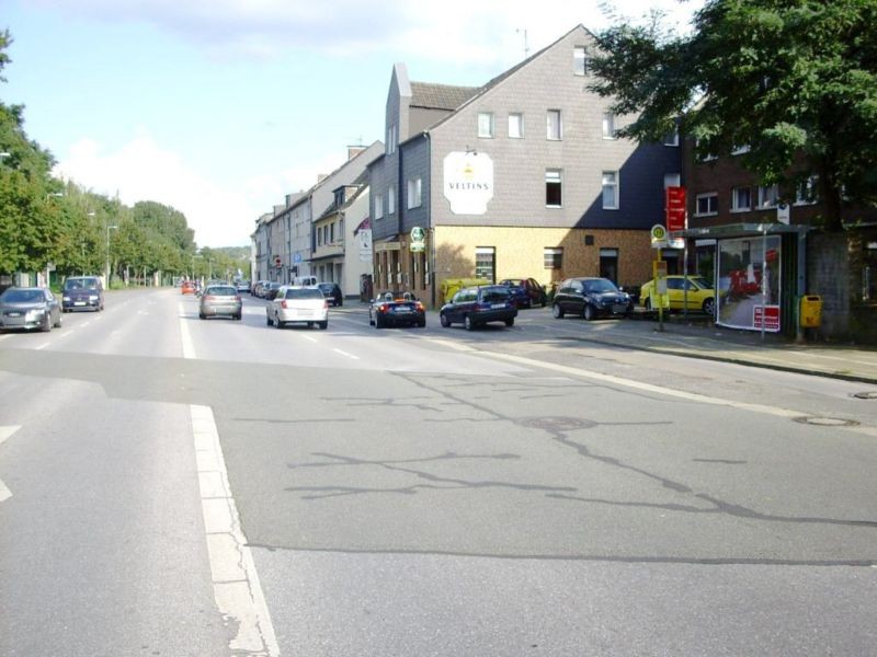 Essener Str. 307/Lipperheidebaum