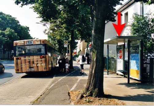 Bienroder Weg/Siegfriedstr. RW innen li.