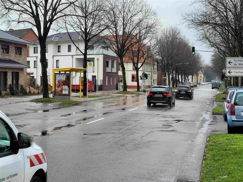 Lindenallee/Vieländer Weg/aussen/We.li.