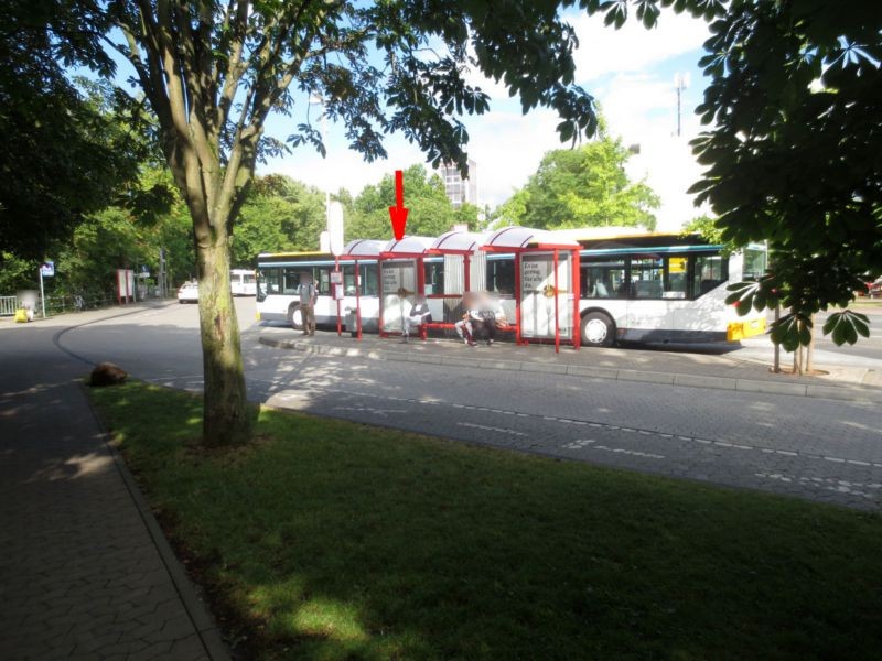 Hattersheimer Str./Bus-Bf HST 1/innen li.