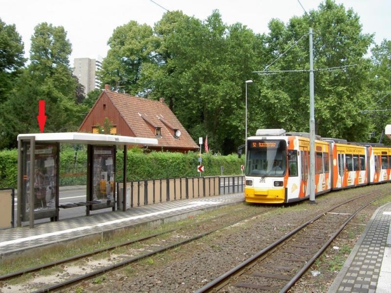Untere Zahlbacher Str./Hauptfriedhof saw./li.innen