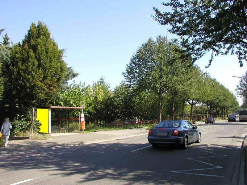 Friedhof Süd/Eckenbertstr. sew./außen