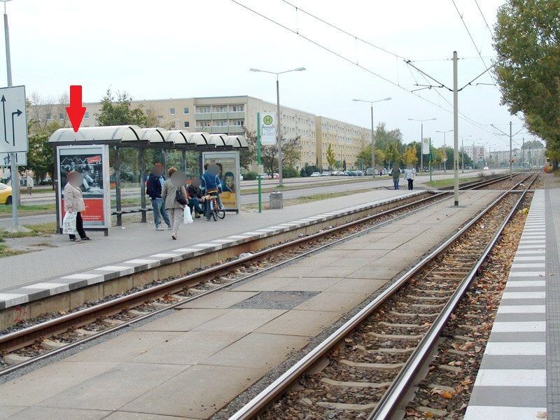 Rosa-Luxemburg-Allee/Alexisstr. sew. li./We.li.