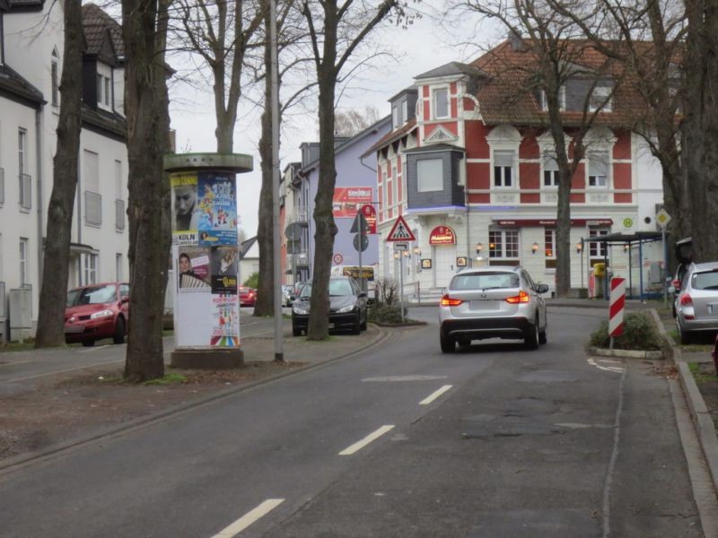 Jakobstr. 6/Nh. Auf der Papagei