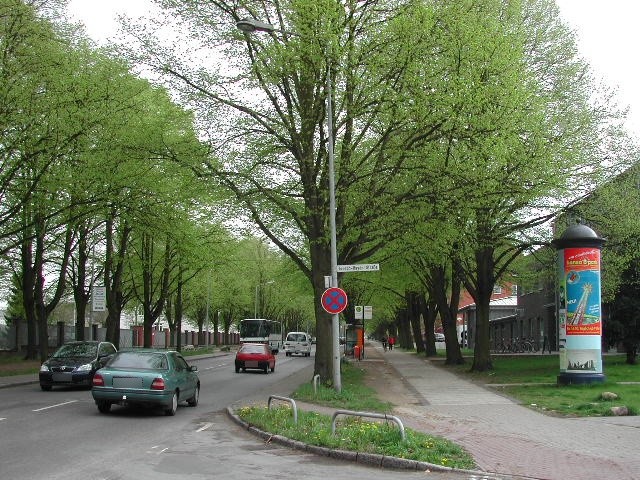 Tschaikowskistr./Haydnstr.