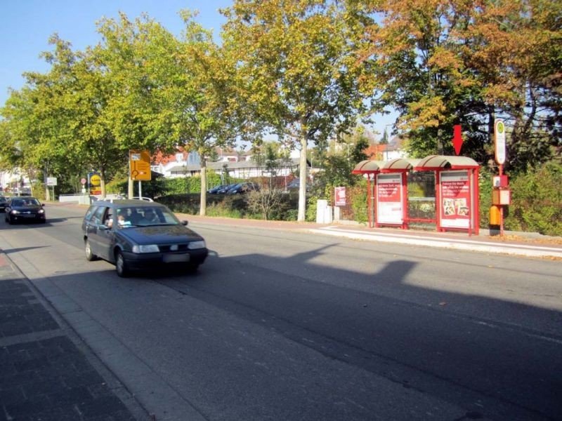 Königsteiner Str.  42/Lidl re.