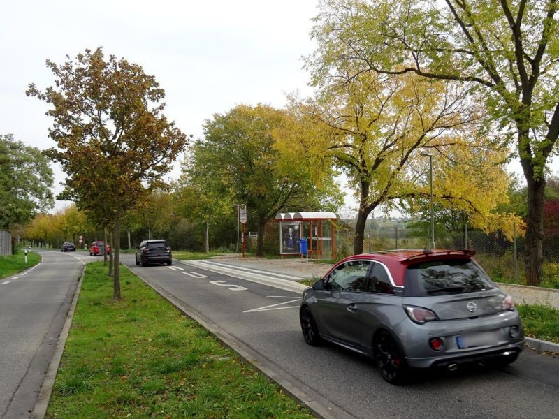 Massenheimer Landstr. geg. Akazienring/Gartenstadt